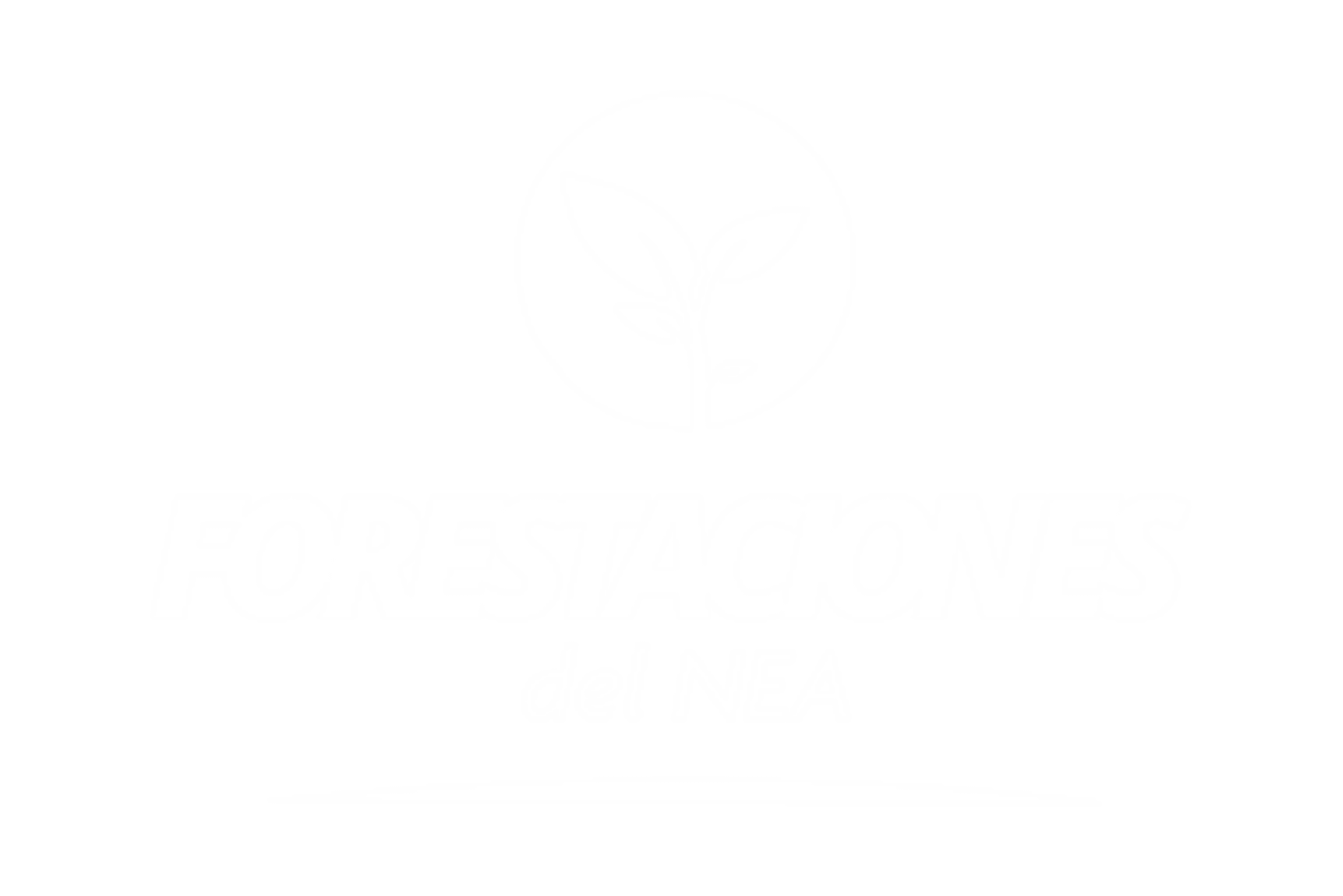 Forestaciones del NEA